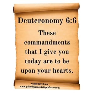 Deuteronomy 66