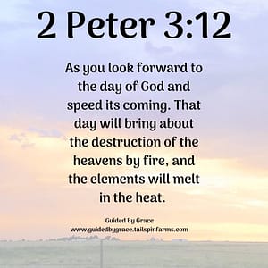 2 Peter 312
