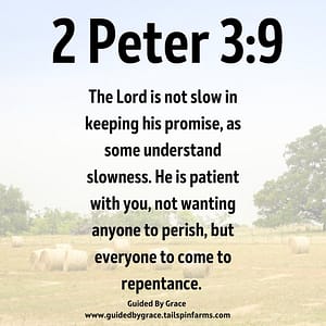 2 Peter 39