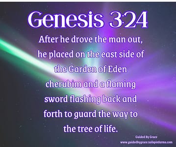 Genesis 324
