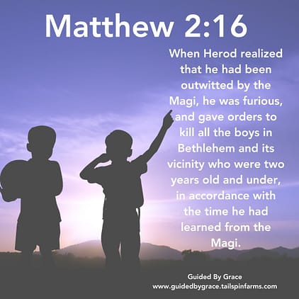 Matthew-216