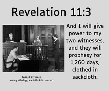 Revelation 113