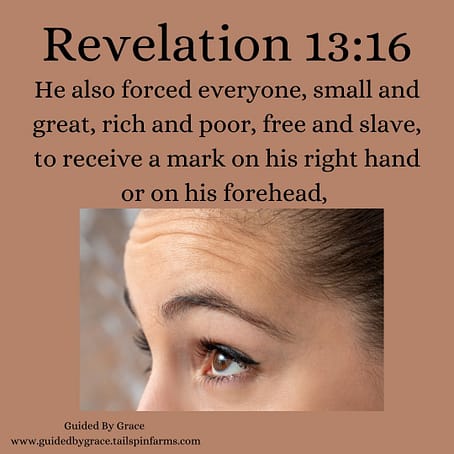 Revelation-1316