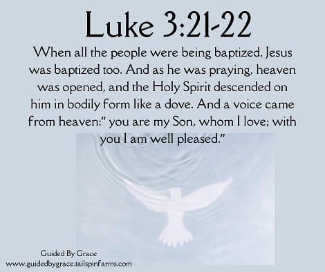 Luke-321-22
