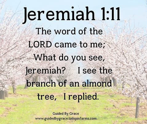 Jeremiah-111