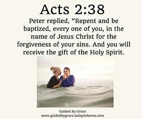 Acts-238