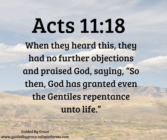 Acts-1118