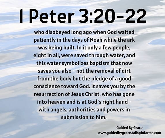 1-Peter-321