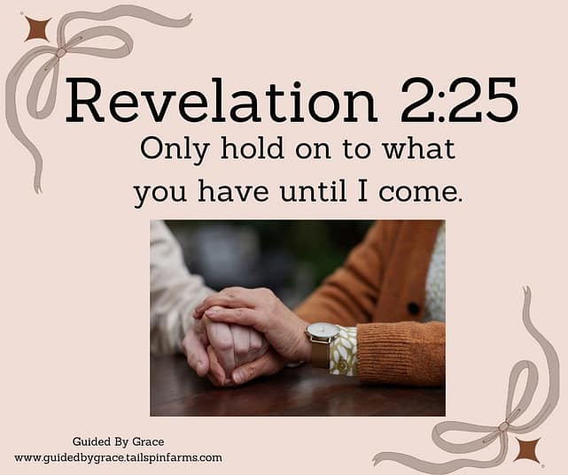Revelation-225