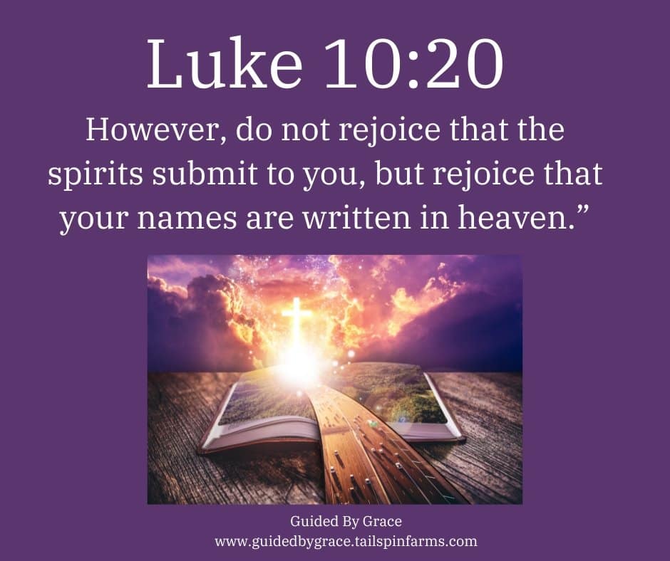 DO NOT REJOICE / LUKE 10:20 - Guided By Grace
