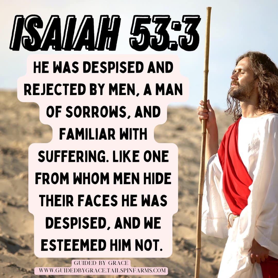 DESPISED AND REJECTED - A MAN OF SORROWS / ISAIAH 53:3 - Guided By Grace