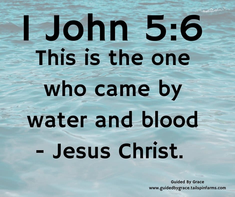 BY WATER AND BLOOD / 1 JOHN 5:6 - Guided By Grace