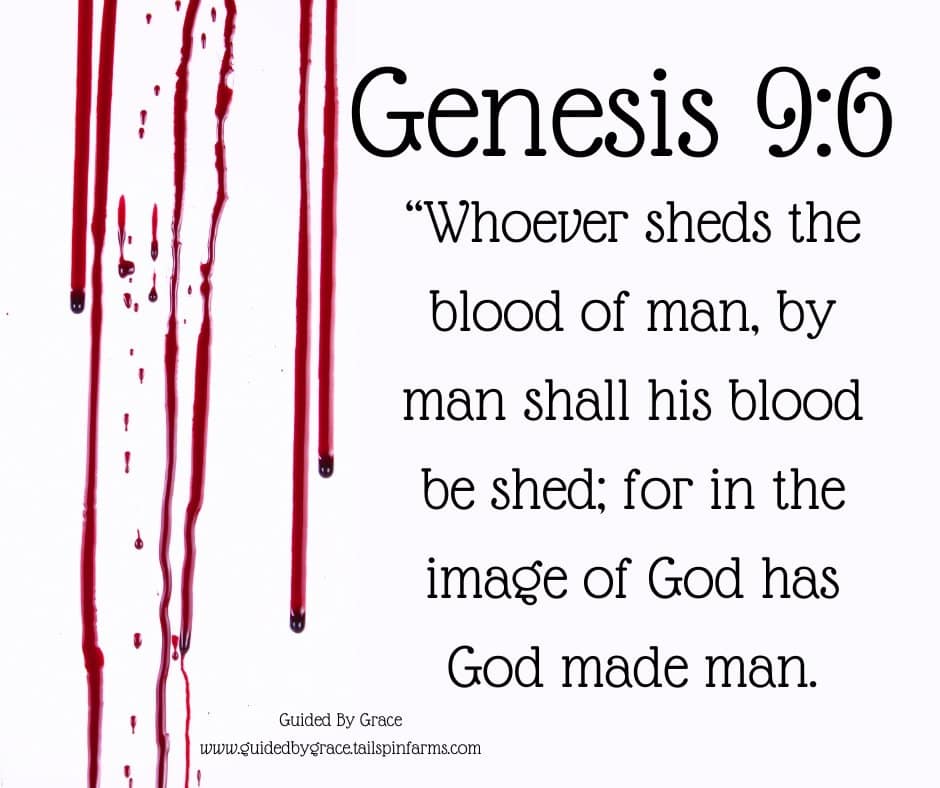 WHOEVER SHEDS THE BLOOD OF MAN, BY MAN SHALL HIS BLOOD BE SHED ...