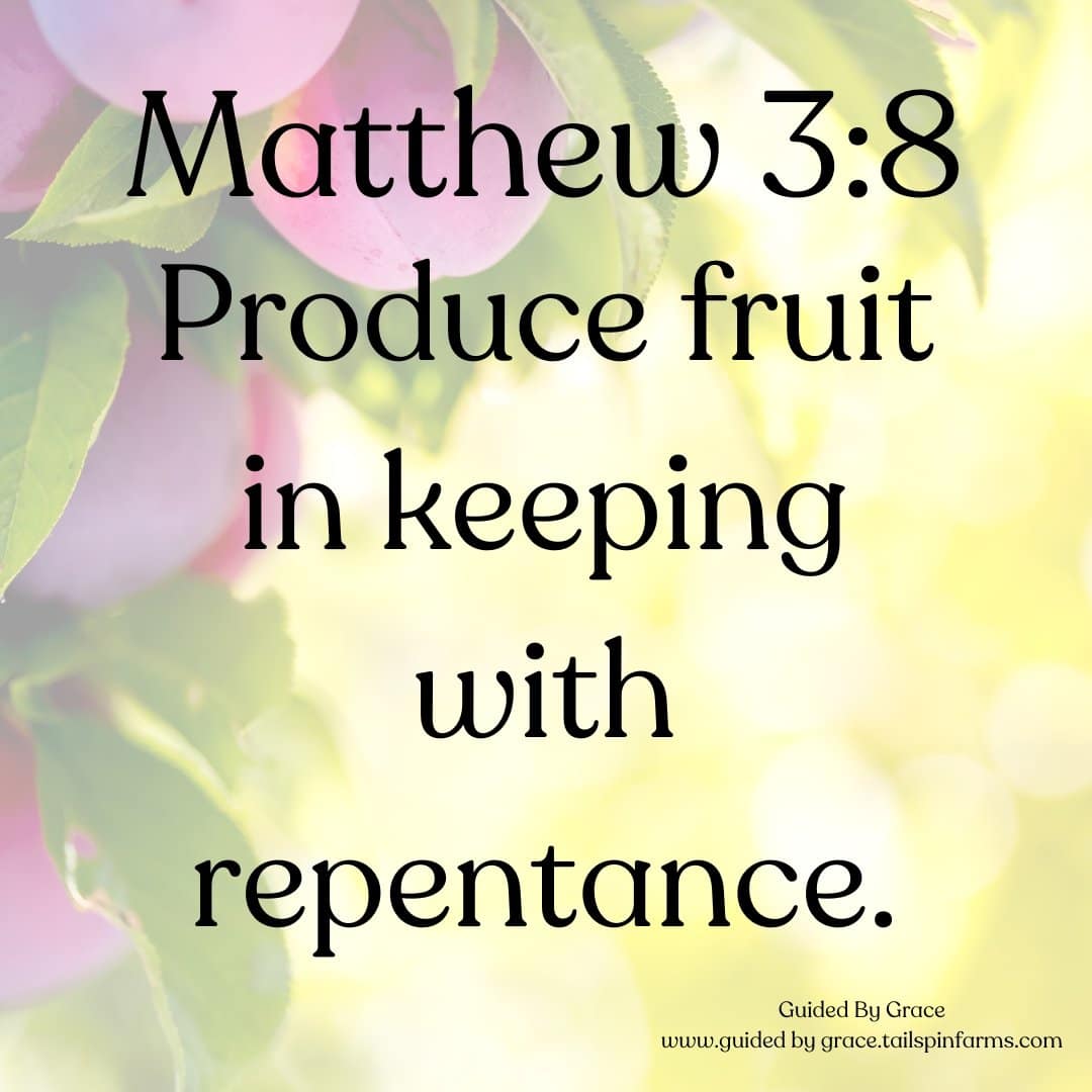 FRUIT IN KEEPING WITH REPENTANCE / MATTHEW 3:8 - Guided By Grace