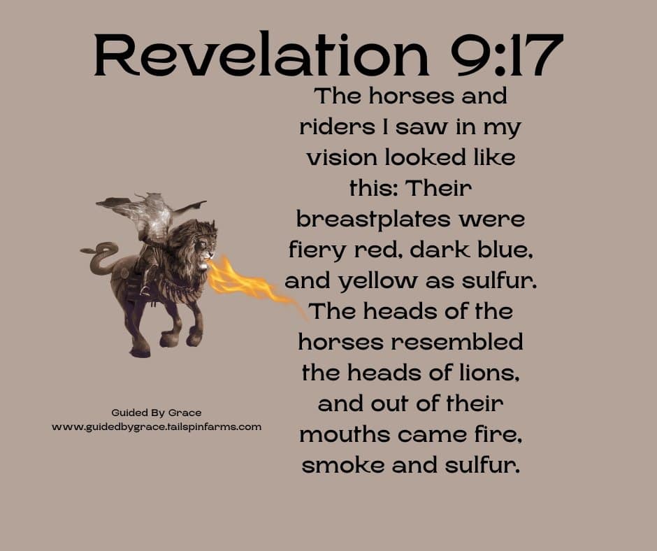 MY VISION LOOKED LIKE THIS / REVELATION 9:17 - Guided By Grace