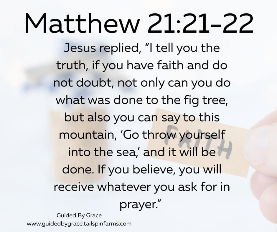 IF YOU HAVE FAITH / MATTHEW 21:21-22 - Guided By Grace