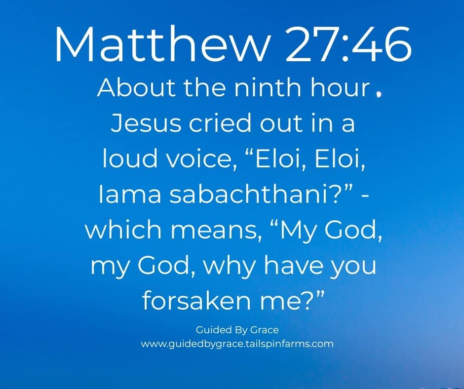 WHY HAVE YOU FORSAKEN ME? / MATTHEW 27:46 - Guided By Grace