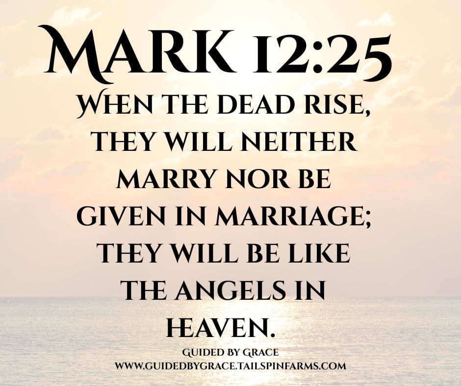 THEY WILL NEITHER MARRY / MARK 12:25 - Guided By Grace