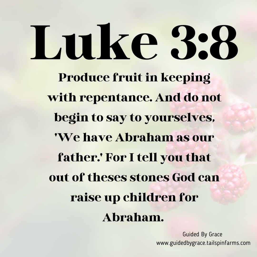 FRUIT IN KEEPING WITH REPENTANCE / LUKE 3:8 - Guided By Grace