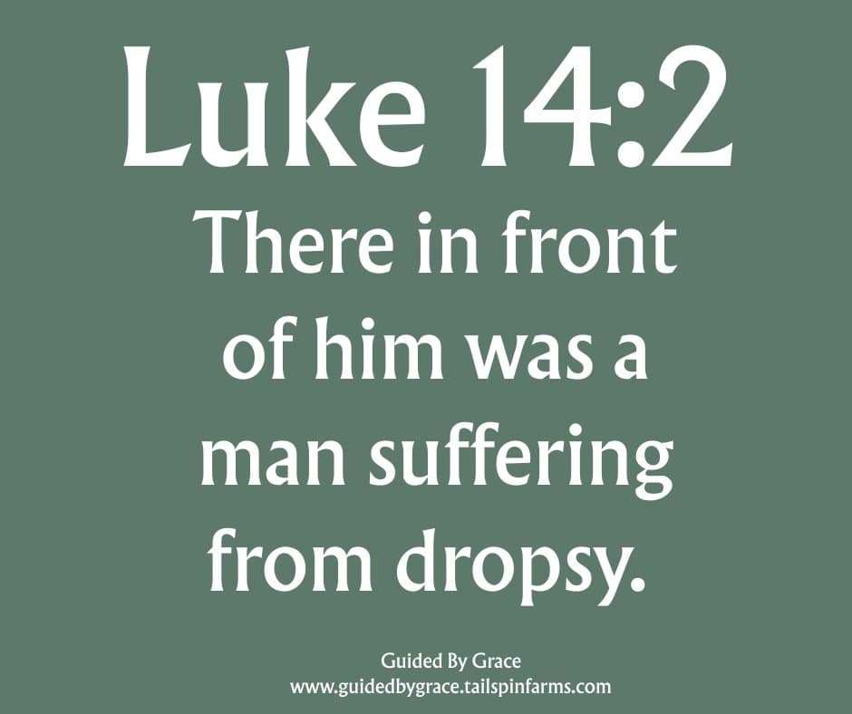 SUFFERING FROM DROPSY / LUKE 14:2 - Guided By Grace