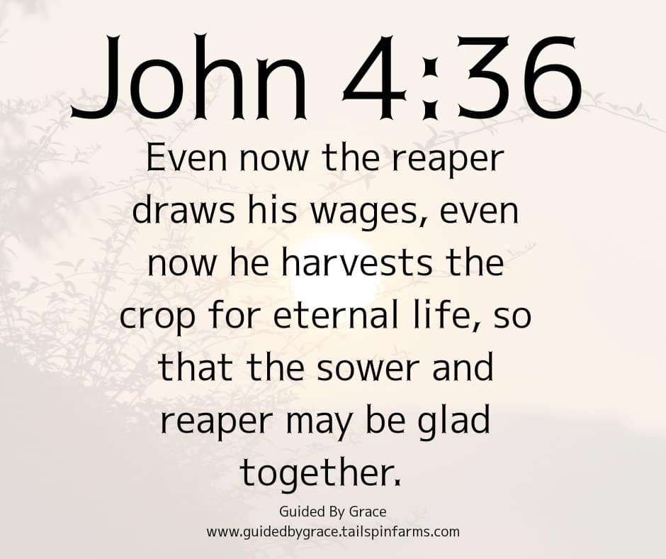 CROP FOR ETERNAL LIFE / JOHN 4:36 - Guided By Grace