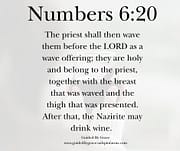 THE NAZIRITE MAY DRINK WINE / NUMBERS 6:20