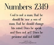 NOT A MAN THAT HE SHOULD LIE ... CHANGE HIS MIND / NUMBERS 23:19