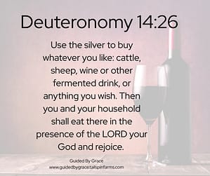 Deuteronomy 1426