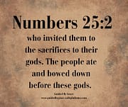 BOWED DOWN BEFORE THESE GODS / NUMBERS 25:2