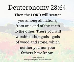 Deuteronomy 2864