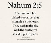 HE SUMMONS / NAHUM 2:5