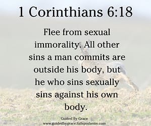 1 Corinthians 618