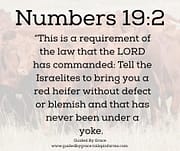 RED HEIFER / NUMBERS 19:2