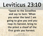 FIRST GRAIN YOU HARVEST / LEVITICUS 23:10