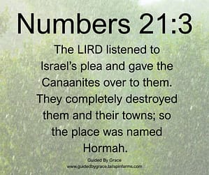 Numbers 213