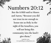YOU WILL NOT BRING THIS COMMUNITY INTO THE LAND / NUMBERS 20:12