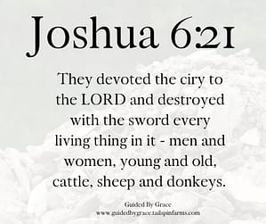 Joshua 621 (2)