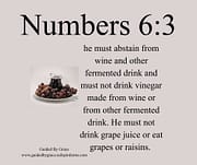GRAPE JUICE / NUMBERS 6:3