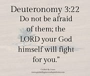 THE LORD ... WILL FIGHT FOR YOU / DEUTERONOMY 3:22