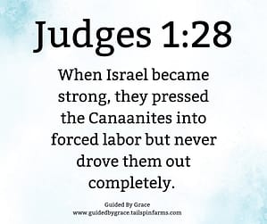 Judges 128