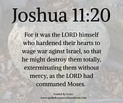 LORD HARDENED THEIR HEARTS / JOSHUA 11:20