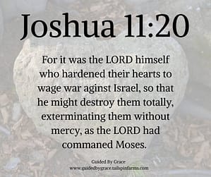Joshua 1120