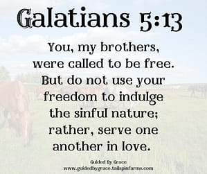 Galatians 513