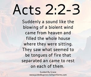 Acts 22-3