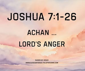 Joshua 71-26