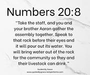 SPEAK TO THAT ROCK / NUMBERS 20:8