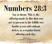 REGULAR BURNT OFFERING EACH DAY / NUMBERS 28:3