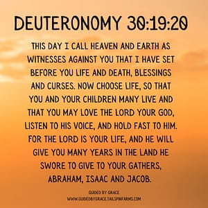 Deuteronomy 301920