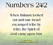 SPIRIT OF GOD CAME UPON HIM / NUMBERS 24:2